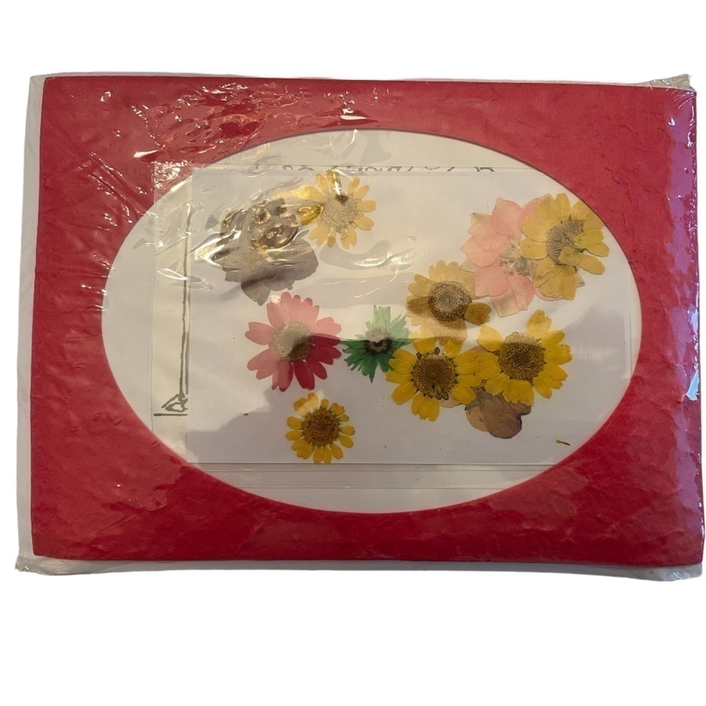 HearthSong Pressed Posies Card Kit – DIY Flower Press Greeting Card Craft Kit